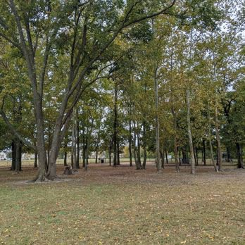 Salem Woods Neighborhood Dog Park photo 2